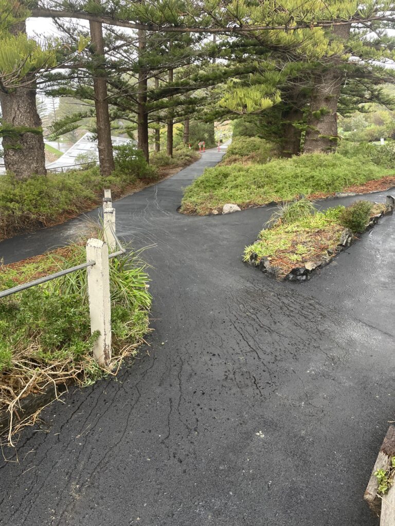 A winding, narrow asphalt path curves through tall pine trees and green shrubs, with a white wooden fence post on the left and scattered pine needles on the ground. The scene appears damp from recent rain.