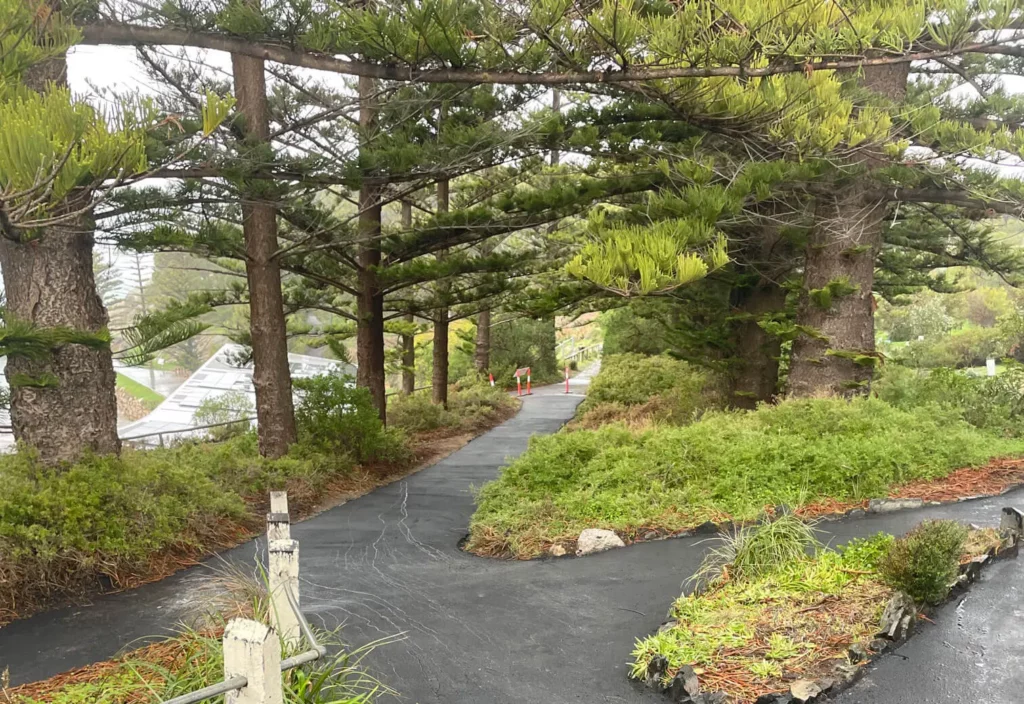 A paved path winds through tall pine trees and dense green shrubs in a park-like setting, with wet ground suggesting recent rain and overcast light filtering through the foliage.